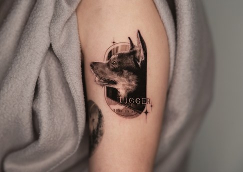 doberman portrait tattoo on the upper arm