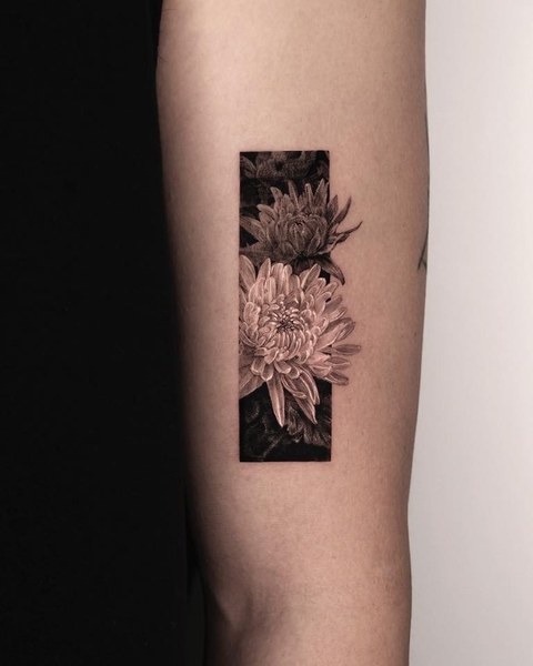 framed chrysanthemum tattoo on the forearm