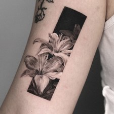 lily in a black frame tattoo on the forearm