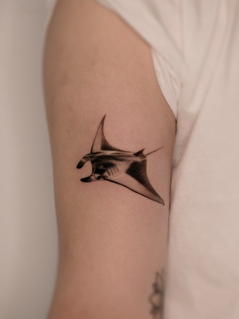 stingray tattoo on the upper arm